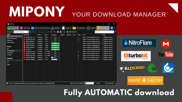 Torrents, Youtube and direct downloads in one application