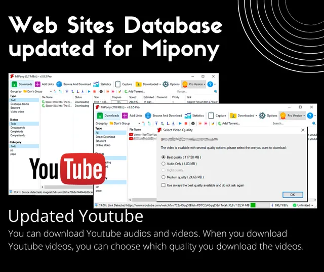 Web Sites Database updated for Mipony
