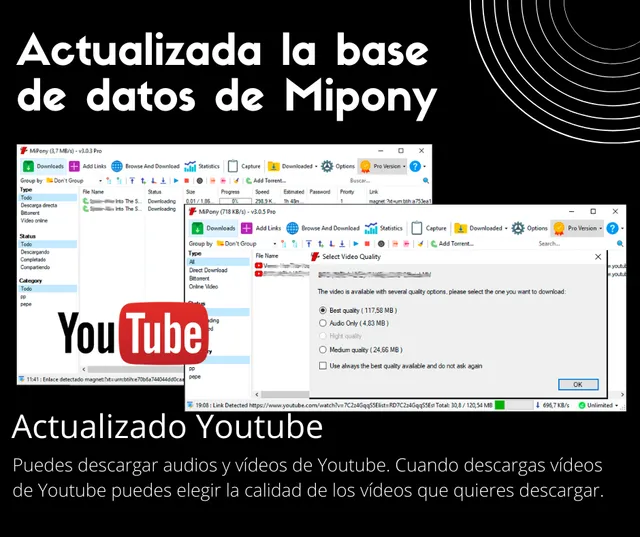 Actualización de la base de datos de Mipony