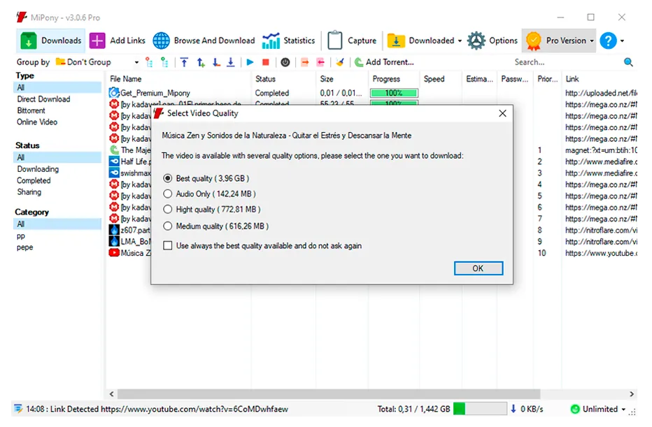 Mipony interface for Windows 6