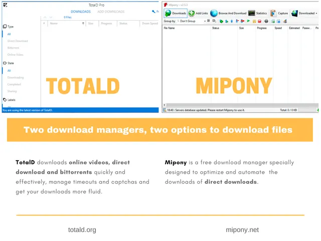 Two download managers, two options to download files