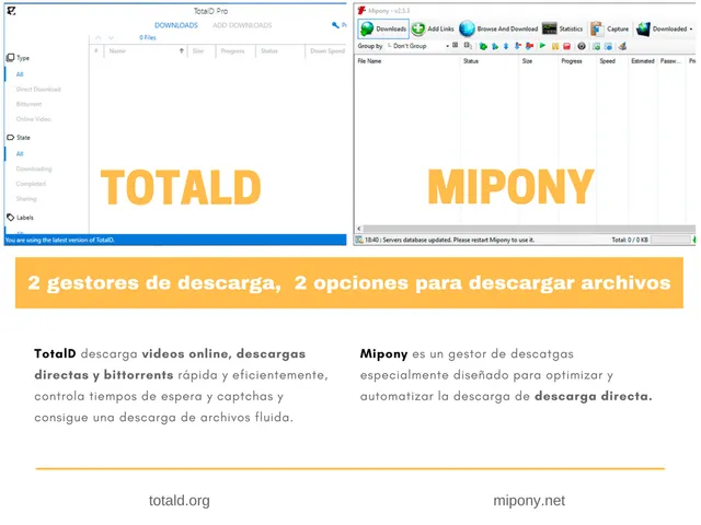 Dos gestores de descarga, dos opciones para descargar archivos